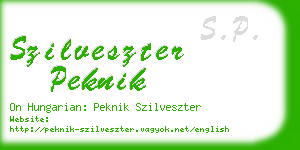 szilveszter peknik business card